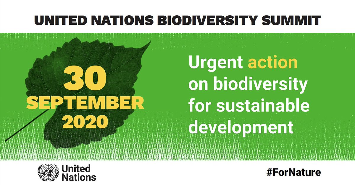 United Nations Summit on Biodiversity